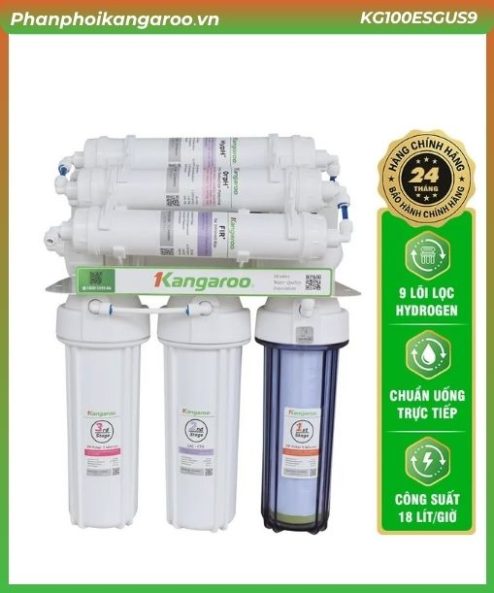 Kangaroo Hydrogen KG100ESGUS9